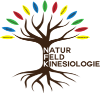 logo NFK bunt 16 Kinesiologie 